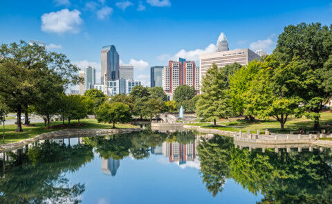 The Carolinas