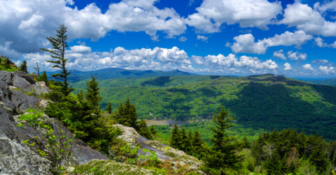 LeHigh Valley